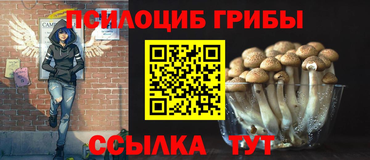 Псилоцибиновые грибы мухоморы Омск