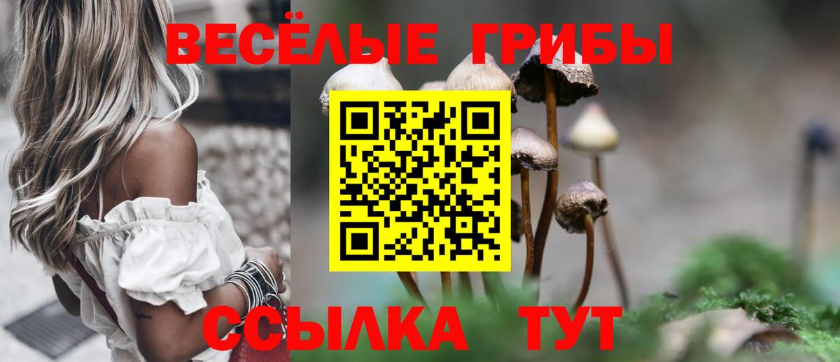 магазин    Вход с VPN  Омск  Псилоцибиновые грибы мухоморы 